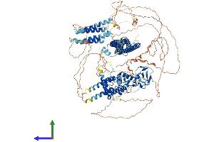 Protein Structure (PS) image for rho GTPase Activating Protein 29 (ARHGAP29) (AA 1-1261) protein (His tag) (ABIN7555213)