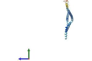 Protein Structure (PS) image for HAUS Augmin-Like Complex, Subunit 2 (HAUS2) (AA 1-234) protein (His tag) (ABIN7560574)