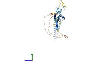 Protein Structure (PS) image for LUC7-Like 3 (LUC7L3) (AA 1-432) protein (His tag) (ABIN7548917)