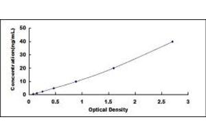 Typical standard curve (B3GALT1 ELISA Kit)