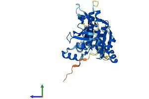 Protein Structure (PS) image for RAD51 Homolog D (RAD51D) (AA 1-329) protein (His tag) (ABIN7562499)
