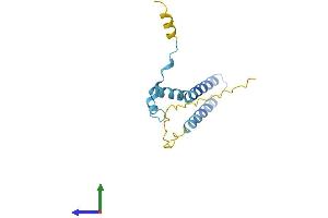 AlphaFold protein structure predicition of Human Recombinant FAM216B Protein, UniprotID Q8N7L0 (C13orf30 Protein (AA 1-139) (His tag))
