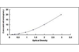 F2RL3 ELISA Kit