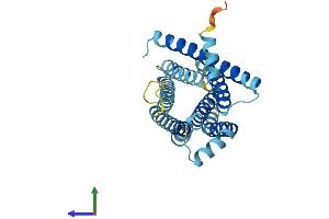 Protein Structure (PS) image for Taste Receptor, Type 2, Member 16 (TAS2R16) (AA 1-299) protein (His tag) (ABIN7556548)
