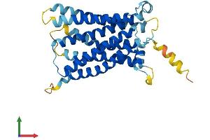 AlphaFold protein structure predicition of Mouse Recombinant Mrgpra1 Protein, UniprotID Q91WW5 (Mrgpra1 Protein (AA 1-304) (His tag))