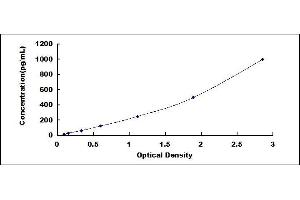 Typical standard curve (IL-18 ELISA Kit)