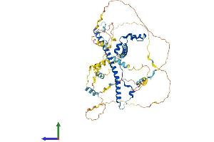 Protein Structure (PS) image for WAS Protein Family, Member 1 (WASF1) (AA 1-559) protein (His tag) (ABIN7545109)