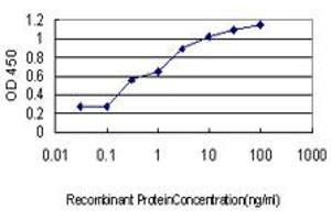 Detection limit for recombinant GST tagged SH3BP5 is approximately 0. (SH3BP5 antibody  (AA 4-112))