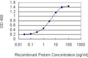 Detection limit for recombinant GST tagged STAT2 is 0. (STAT2 antibody  (AA 742-851))