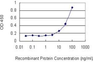 Detection limit for recombinant GST tagged CAT is 1 ng/ml as a capture antibody. (Catalase antibody  (AA 1-100))