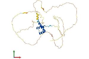 AlphaFold protein structure predicition of Human Recombinant DBX2 Protein, UniprotID Q6ZNG2 (DBX2 Protein (AA 1-339) (His tag))