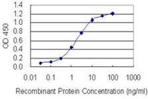 Detection limit for recombinant GST tagged BTF3L4 is 0. (BTF3L4 antibody  (AA 1-158))