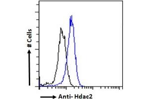 ABIN6391348 Flow cytometric analysis of paraformaldehyde fixed HeLa cells (blue line), permeabilized with 0.