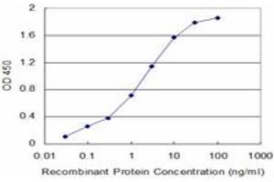 Detection limit for recombinant GST tagged USP9X is approximately 0. (USP9X antibody  (AA 1-90))