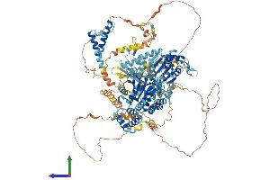 Protein Structure (PS) image for RecQ Protein-Like 4 (RECQL4) (AA 1-1216) protein (His tag) (ABIN7564177)