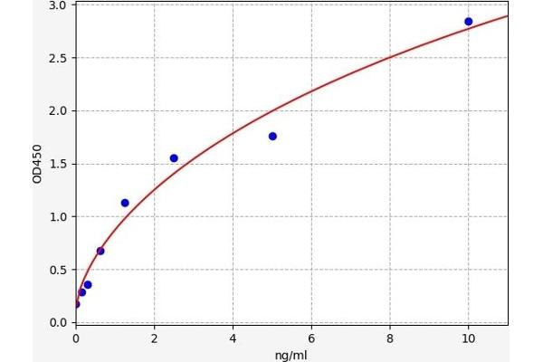 PROZ ELISA Kit