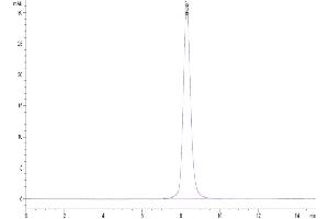 The purity of Cynomolgus IL-18 R1 is greater than 95 % as determined by SEC-HPLC. (IL18R1 Protein (AA 22-329) (His tag))