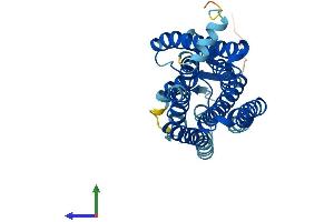 AlphaFold protein structure predicition of Human Recombinant OR2J1 Protein, UniprotID Q9GZK6 (OR2J1 Protein (AA 1-312) (His tag))