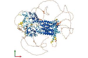 AlphaFold protein structure predicition of Mouse Recombinant Disp1 Protein, UniprotID Q3TDN0