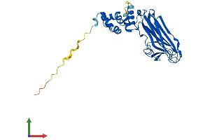 AlphaFold protein structure predicition of Human Recombinant FBXO27 Protein, UniprotID Q8NI29