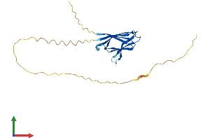 AlphaFold protein structure predicition of Mouse Recombinant Npm2 Protein, UniprotID Q80W85
