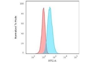 Flow Cytometric Analysis of HeLa cells using Cytokeratin 13 Mouse Monoclonal Antibody (KRT13/2213) followed by Goat anti-Mouse IgG-CF488 (Blue); Isotype Control (Red). (Cytokeratin 13 antibody)