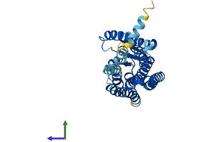 AlphaFold protein structure predicition of Human Recombinant OR2Y1 Protein, UniprotID Q8NGV0 (OR2Y1 Protein (AA 1-311) (His tag))