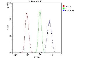 Flow Cytometry analysis of U20S cells using anti-VEGF Receptor 3 antibody (ABIN5693136). (FLT4 antibody  (AA 25-259))