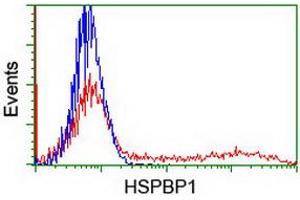 HEK293T cells transfected with either RC201814 overexpress plasmid (Red) or empty vector control plasmid (Blue) were immunostained by anti-HSPBP1 antibody (ABIN2454876), and then analyzed by flow cytometry. (HSPBP1 antibody)