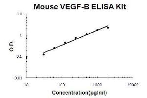 Mouse VEGF-B PicoKine ELISA Kit standard curve