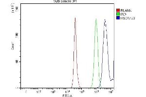 Flow Cytometry analysis of HepG2 cells using anti-HSD17B3 antibody (ABIN7603060). (HSD17B3 antibody  (Middle Region))