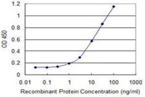 Detection limit for recombinant GST tagged PVRL3 is 0. (nectin-3 antibody  (AA 59-166))