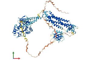 Protein Structure (PS) image for Dynamin 3 (DNM3) (AA 1-863) protein (His tag) (ABIN7564473)