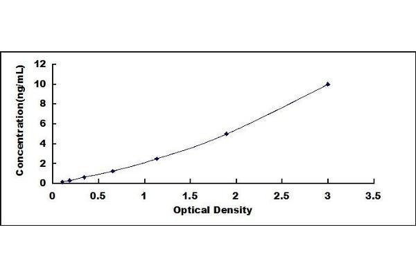 Uromodulin ELISA Kit