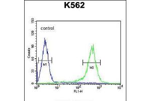 Flow cytometric analysis of K562 cells (right histogram) compared to a negative control cell (left histogram). (TMEM132D antibody  (C-Term))