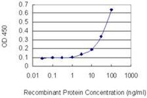 Detection limit for recombinant GST tagged PHACTR3 is 1 ng/ml as a capture antibody. (PHACTR3 antibody  (AA 92-179))