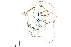 AlphaFold protein structure predicition of Human Recombinant DACT3 Protein, UniprotID Q96B18 (DACT3 Protein (AA 1-629) (His tag))
