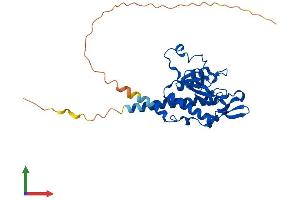 Protein Structure (PS) image for Mitochondrial Ribosomal Protein S2 (MRPS2) (AA 1-296) protein (His tag) (ABIN7551572)