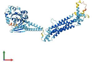 AlphaFold protein structure predicition of Mouse Recombinant Mx1 Protein, UniprotID P09922