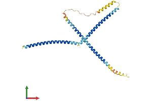 AlphaFold protein structure predicition of Human Recombinant FGFR1OP2 Protein, UniprotID Q9NVK5
