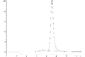 The purity of Human Siglec-3/CD33 is greater than 95 % as determined by SEC-HPLC. (CD33 Protein (CD33) (AA 18-259) (His-Avi Tag))