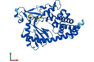 AlphaFold protein structure predicition of Mouse Recombinant Mab21l1 Protein, UniprotID O70299