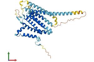 Protein Structure (PS) image for Translocation Associated Membrane Protein 1-Like 1 (TRAM1L1) (AA 1-369) protein (His tag) (ABIN7544711)