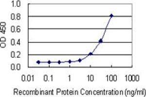 Detection limit for recombinant GST tagged SHBG is 1 ng/ml as a capture antibody. (SHBG antibody  (AA 41-140))