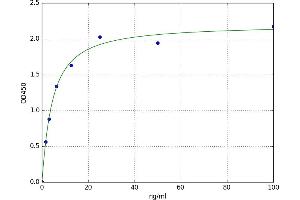 A typical standard curve (Fascin 2 ELISA Kit)