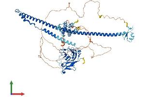 AlphaFold protein structure predicition of Human Recombinant MEFV Protein, UniprotID O15553
