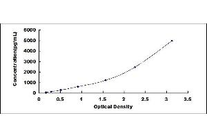 Typical standard curve (FLT1 ELISA Kit)