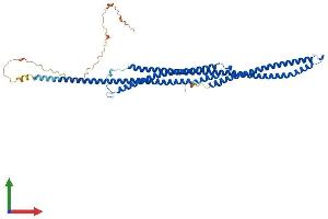 Protein Structure (PS) image for Tektin 5 (TEKT5) (AA 1-485) protein (His tag) (ABIN7544367)