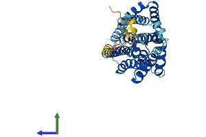AlphaFold protein structure predicition of Mouse Recombinant Slc10a2 Protein, UniprotID P70172 (SLC10A2 Protein (AA 1-348) (His tag))