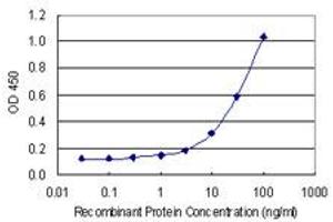 Detection limit for recombinant GST tagged HTRA3 is 1 ng/ml as a capture antibody. (HTRA3 antibody  (AA 344-453))